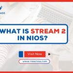 What is Stream 2 in NIOS?