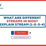 What are Different Streams in NIOS? Explain Stream (1-2-3-4)